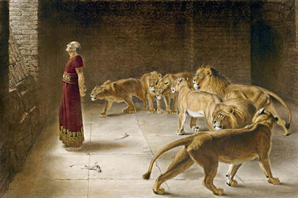 Daniel: A Man of Faith and Courage in the Lion's Den