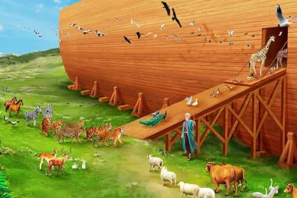 Noah: The Righteous Ark Builder and the 40-Day Storm of Salvation