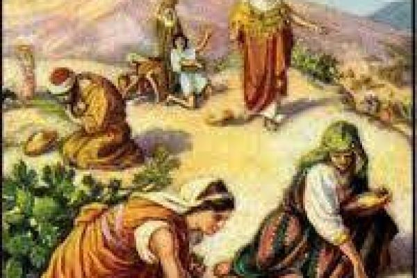 Miracles in the Wilderness: God's Providence for the Israelites in the Desert